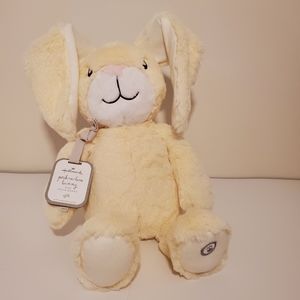 Hallmark Peek-a-Boo Bunny Moving/Talking Plush 16"